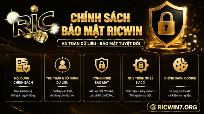 Nội dung chi tiết chính sách bảo mật tại RICWIN